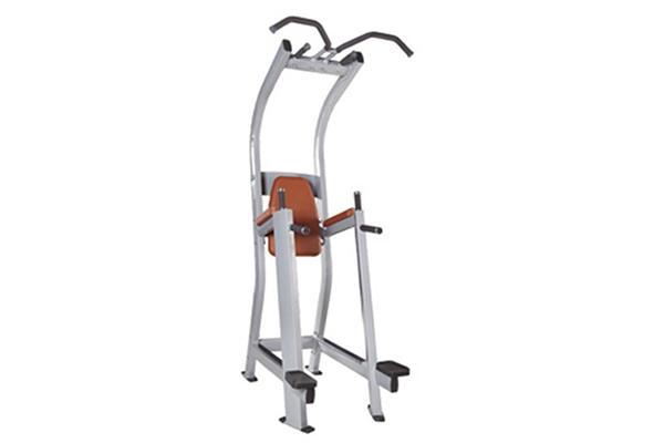 TZ-5019	Chin-Dip Leg Raise Machine