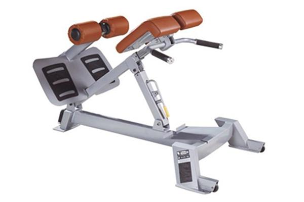 TZ-5026	Adjustable Hip Extension Machine