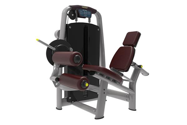 TZ-6055 Leg Curl and Extension Machine