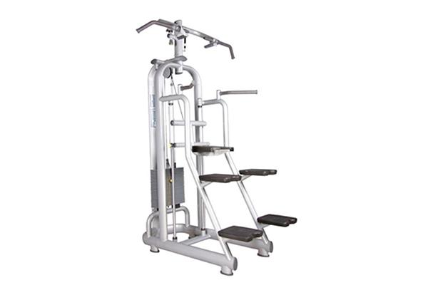 TZ-6019 Assisted Chin Up/Dip