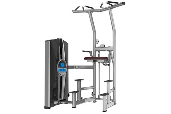 TZ-8019 Assisted Chin Up and Dip Machine