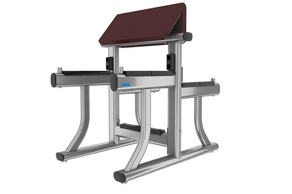 TZ-8025 Preacher Curl Machine