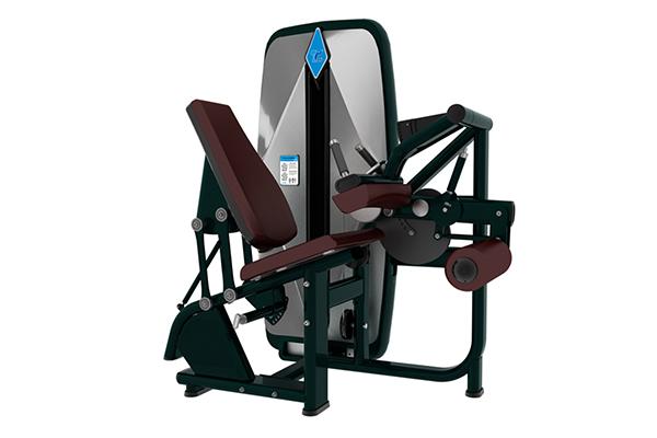 TZ-9001 Seated Leg Curl Machine