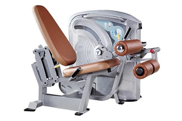 TZ-5010 Seated Leg Curl Machine