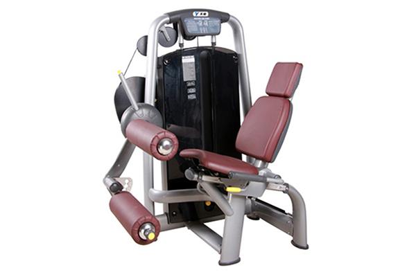 TZ-6001 Seated Leg Curl Machine