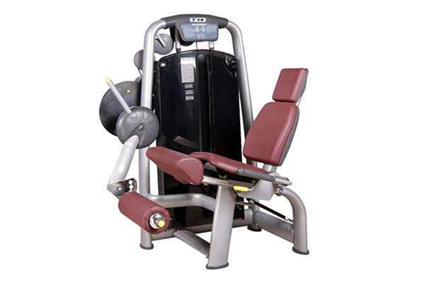 TZ-6002 Seated Leg Extension Machine