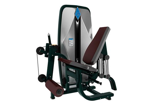 TZ-9002 Seated Leg Extension Machine