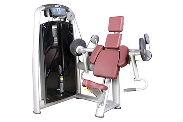 TZ-6013 Biceps Curl Machine