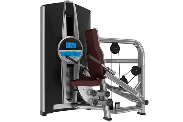 TZ-8050 Triceps Dip Machine