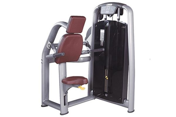 TZ-6050 Triceps Dip Machine