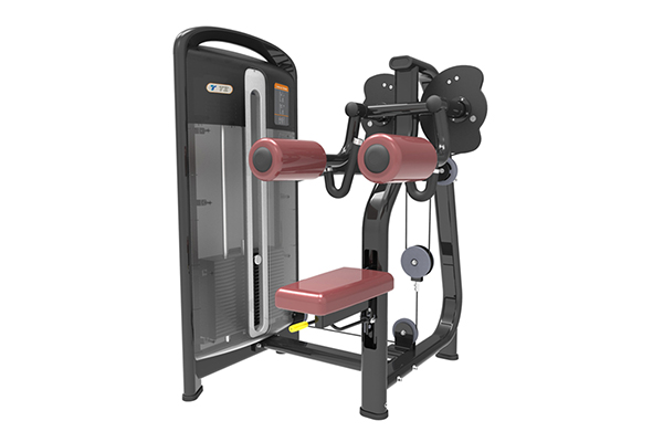 TZ-4010 Lateral Raise Machine