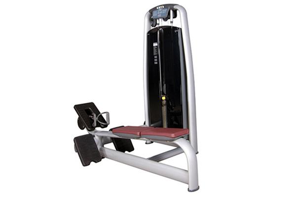 TZ-6021 Low Row Machine