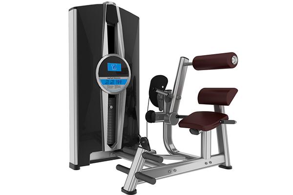 TZ-8006 Back Extension Machine