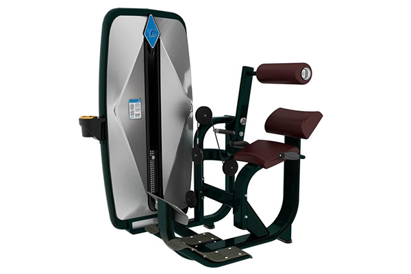 TZ-9006 Back Extension Machine