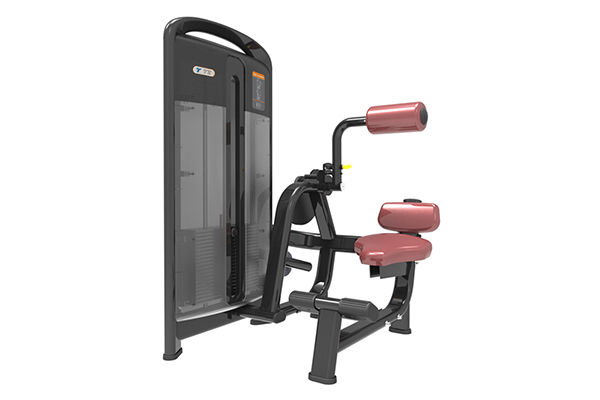 TZ-4006 Back Extension Machine