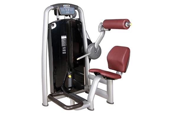 TZ-6006 Back Extension Machine