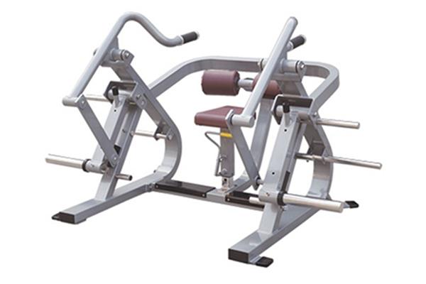 TZ-5048 Seated Dip Machine