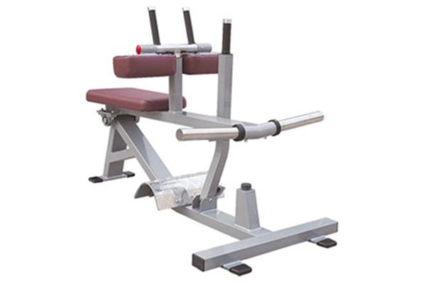 TZ-5050 Seated Calf Machine