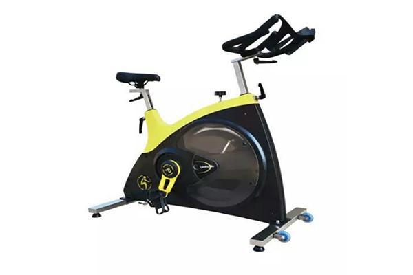 TZ-7010B Commercial Spin (Belt Drive with Light)