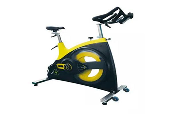 TZ-7010D Commercial Spin Bike (Belt Drive with Light)
