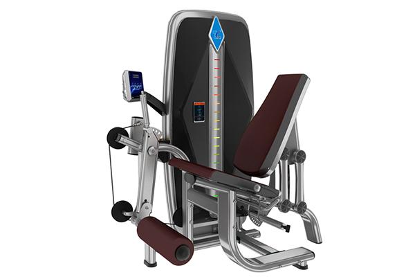TZ-002 Seated Leg Extension Machine